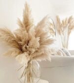 Large Pampas Grass