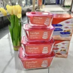 Signature Borosilicate Glass Bowls with Lid