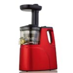 Rebune Electric Slow Juicer RE-2079