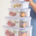 5pc Real Fresh Food Containers